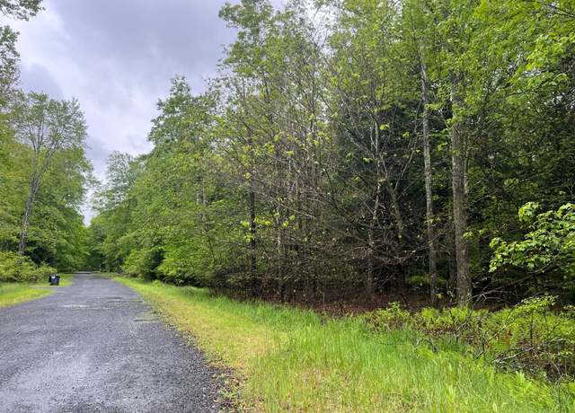 Property at Land PIN 1 Forest Lane West 1001 W, Pocono Lake, PA 18347