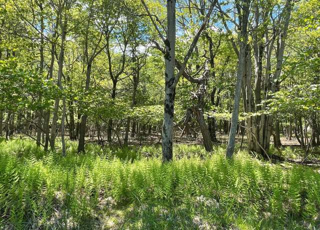 Property at EV805 Stony Mountain Rd, Albrightsville, PA 18210