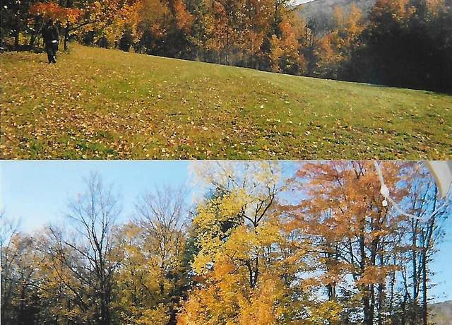 Property at Pantherlick Rd, Sugar Run, PA 18846