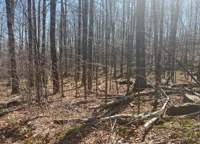 Property at Wheeler Rd, Moscow, PA 18444