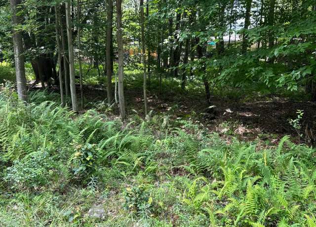Property at 5 Canoe Trl, Pocono Lake, PA 18347