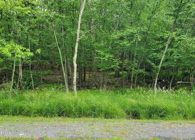 Property at Lot 105 Wilderland Rd, Tamiment, PA 18371