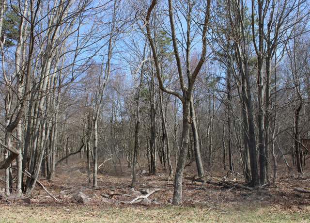 Property at 86 & 87 Buck Hill Rd, Blakeslee, PA 18610