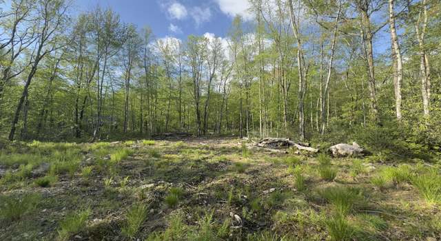 Photo of Butternut Road & Mahogany Rd, Jim Thorpe, PA 18229