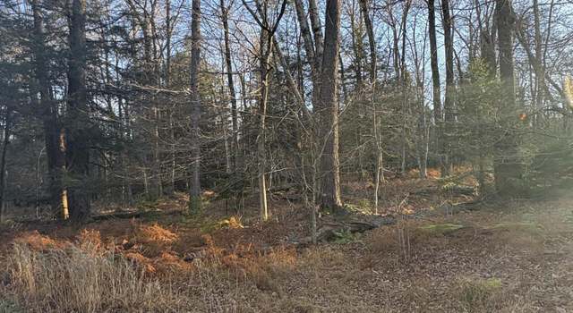 Photo of 199 Navajo Trl, Gouldsboro, PA 18424