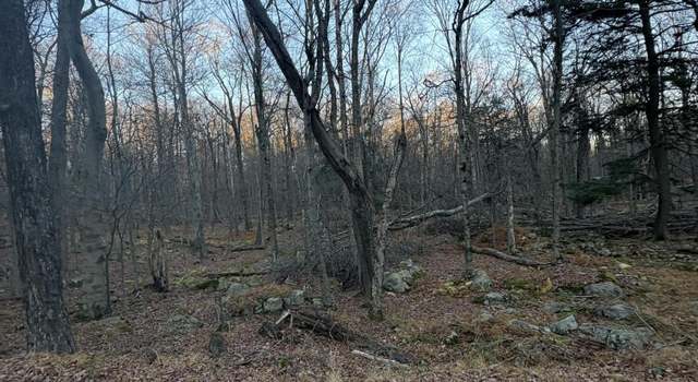 Photo of 27 Spring Ct, Newfoundland, PA 18445