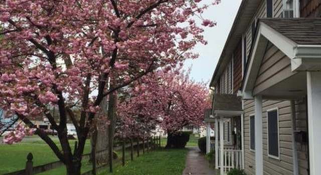 Photo of 42 Borough St, East Stroudsburg, PA 18301