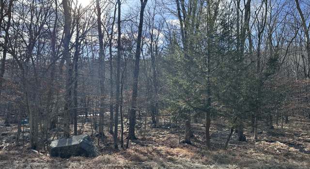 Photo of Lot 736 Decker Rd, Bushkill, PA 18324