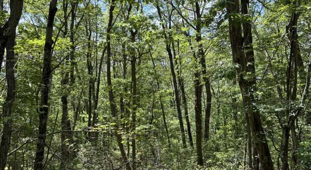 Photo of Pond Creek Rd, White Haven, PA 18661