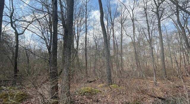 Photo of lot 204 Big Oak Rd, Canadensis, PA 18325