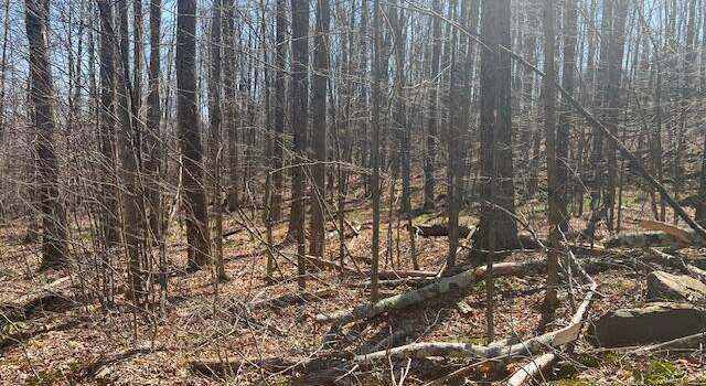 Photo of Wheeler Rd, Sterling Township, PA 18444