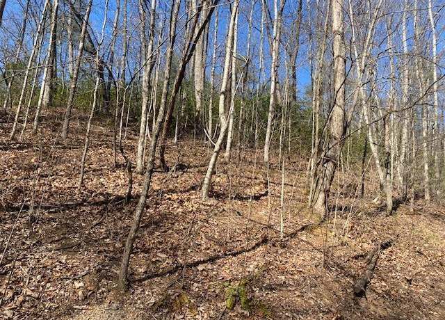 Property at Lot 1765R Red Bud Rd, Sevierville, TN 37876