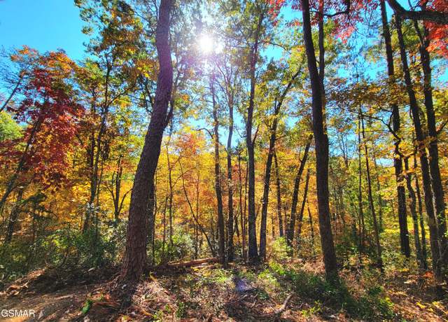 Property at Lot # 54 Riversong Ridge Way, Sevierville, TN 37876