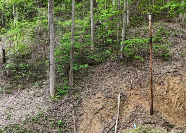 Property at Lot 33 Black Walnut Flats Rd, Sevierville, TN 37876