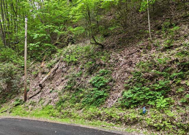 Property at Lot 27 Black Walnut Flats Rd, Sevierville, TN 37876