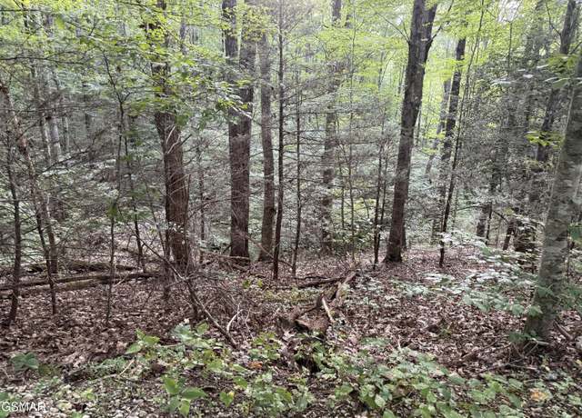 Property at Lot 26 Walden Cove Way, Sevierville, TN 37862