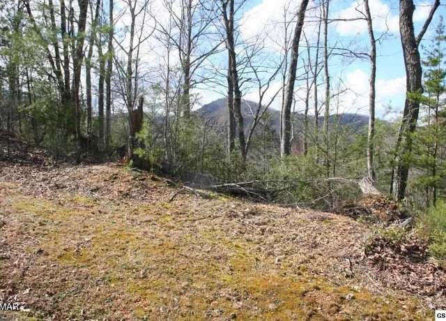 Property at 4350 Carolina Cove Way, Pigeon Forge, TN 37863