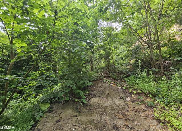 Property at 1837 Walker Trl, Sevierville, TN 37876