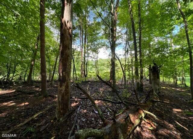 Property at lot 20 Hazelwood Ct, Baneberry, TN 37890