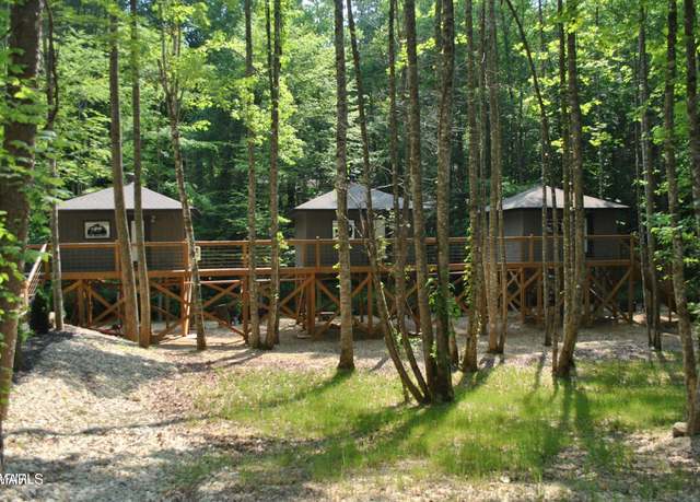Property at 750 Caney Creek Rd, Cosby, TN 37722, 1 bed, 3 baths