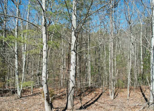 Property at 442 Hawken Dr, Walland, TN 37886
