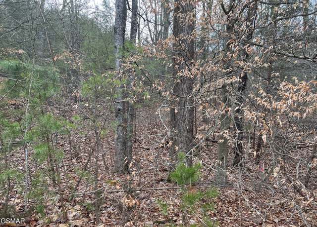 Property at Lot 23 Blue Springs Way, Newport, TN 37821
