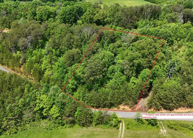 Property at Lot 12 Mcgaha Chapel Rd Rd, Cosby, TN 37722
