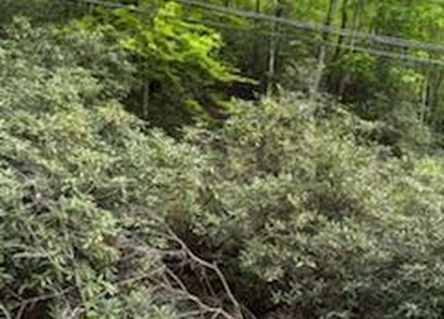 Property at 000 Butler Branch Rd, Pittman Center, TN 37738