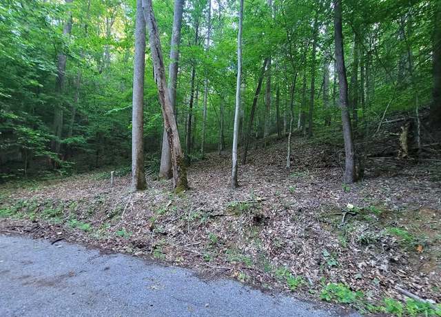 Property at Lot 13 Cara Way, Cosby, TN 37722