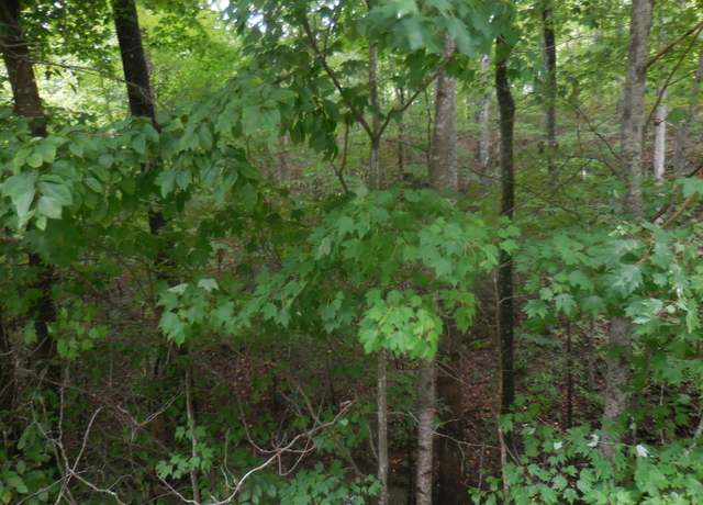 Property at Lot 46 Murray Ridge Rd, Sevierville, TN 37876