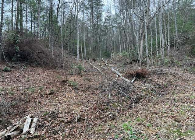 Property at Lot 3D Coy Rhea Way, Sevierville, TN 37876