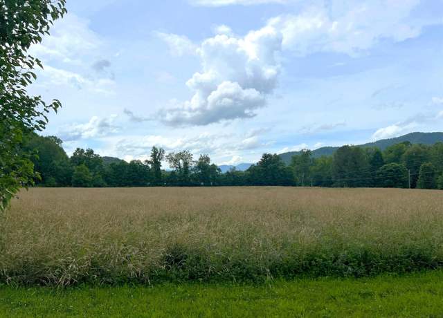 Property at Par 130.01 S Hwy 32, Cosby, TN 37722