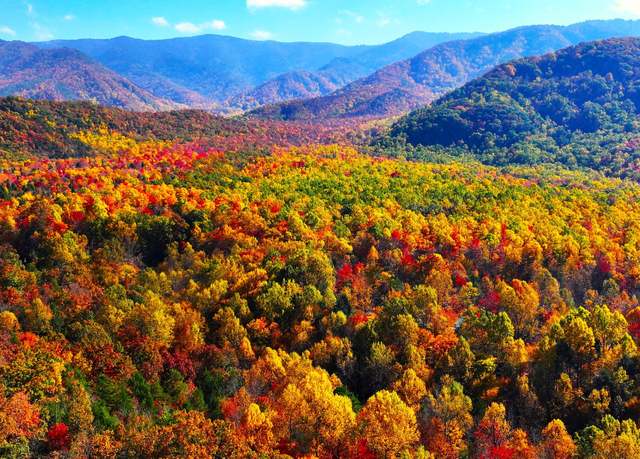 Property at Lots 74-77 Angie Ln, Gatlinburg, TN 37738