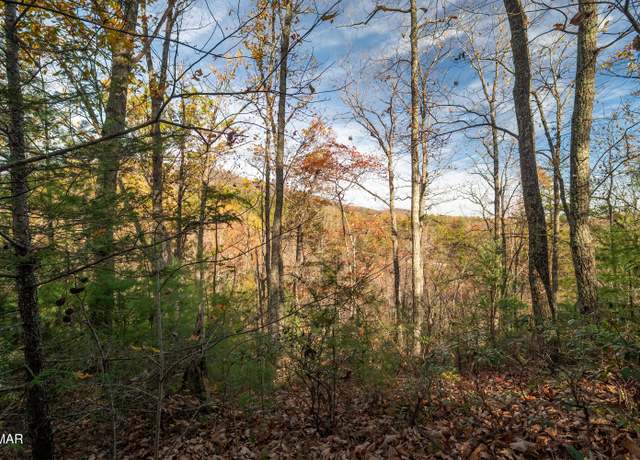 Property at 4365 Wilhite Rd, Cosby, TN 37722