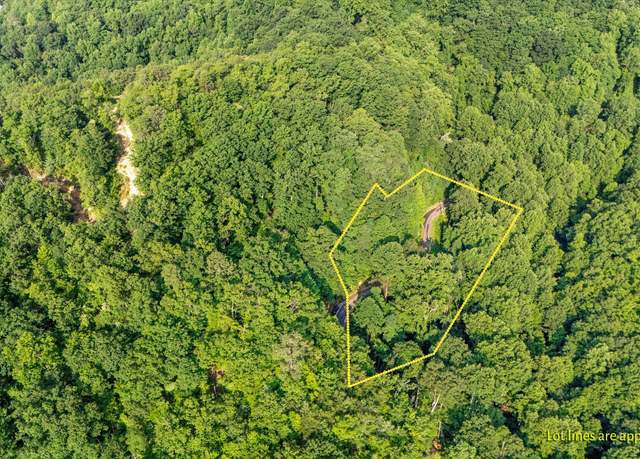 Property at 1017 Big Buck Trl, Townsend, TN 37882
