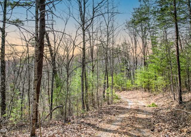 Property at Lot Tr1 Tall Oak Way, Sevierville, TN 37876