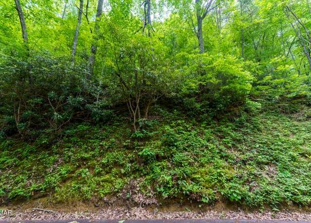 Property at Lot 10 Zurich Rd, Gatlinburg, TN 37738