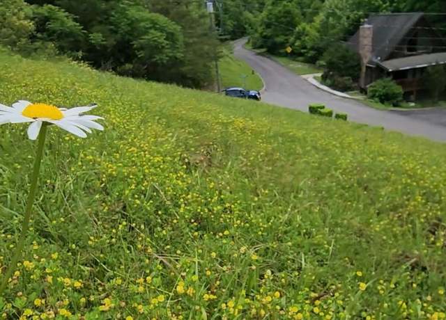 Property at Lot 43 Wedge Tailed Ln, Sevierville, TN 37876
