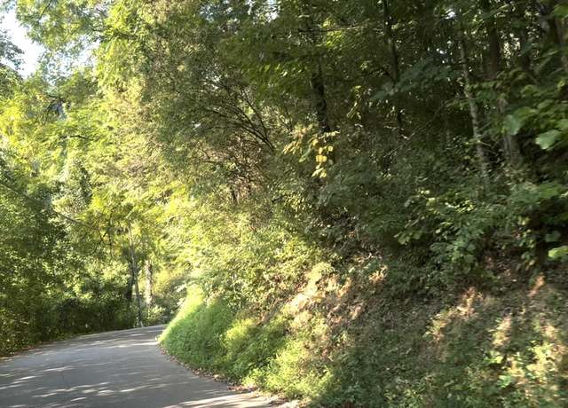 Property at - Caney Creek Rd, Pigeon Forge, TN 37863