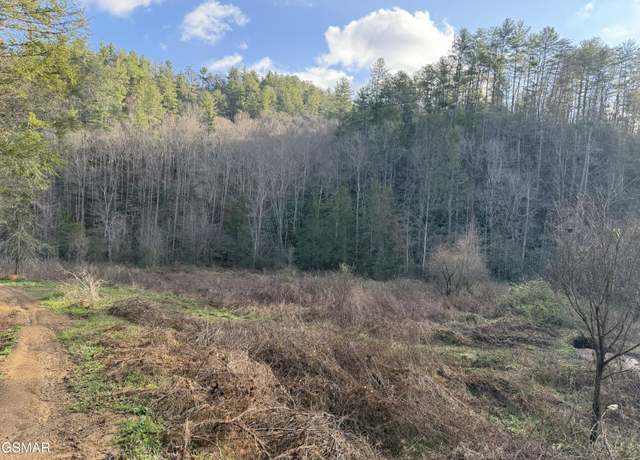 Property at 0 Rocky Creek Rd Rd, Del Rio, TN 37727