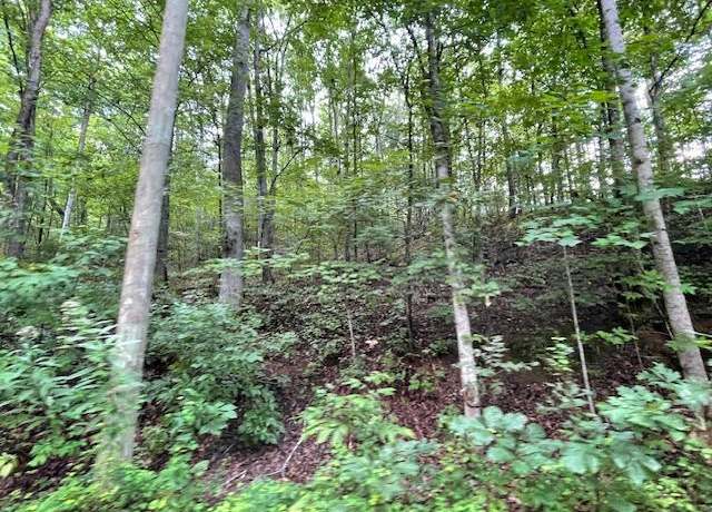 Property at Lot 51 Yellowwood Dr, Sevierville, TN 37876