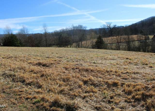Property at Lot 42 Schisandra Lane Ln, Cosby, TN 37722