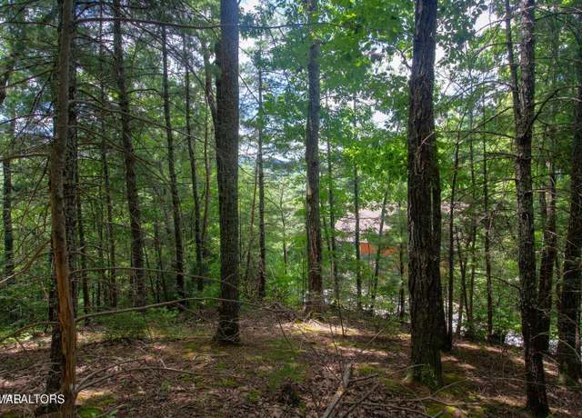 Property at Lot 0013 High Top Loop, Sevierville, TN 37862