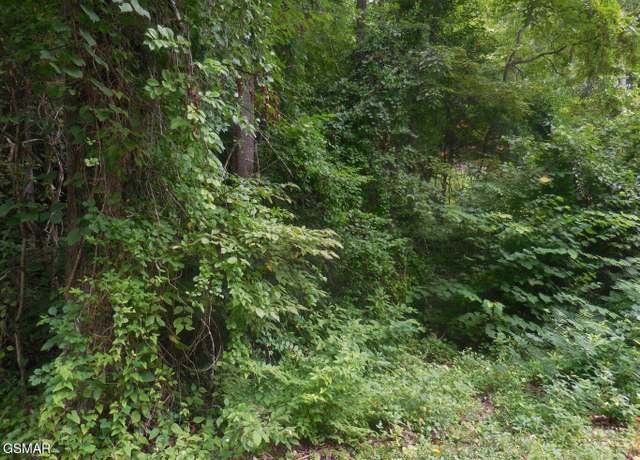 Property at Lot 1 Hidden Vly, Gatlinburg, TN 37738