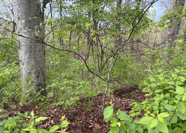 Property at tbd Missionary Ridge Rd, Newport, TN 37821
