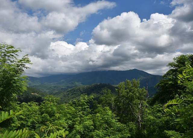 Property at 564 Campbell Lead Rd, Gatlinburg, TN 33738