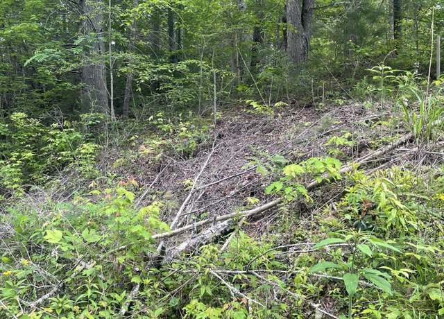 Property at 1115 Tranquility Hills Way, Cosby, TN 37722