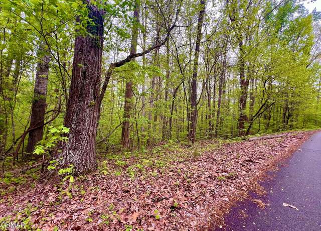 Property at Lot 71, 72 Polly Mountain Rd, Madisonville, TN 37354
