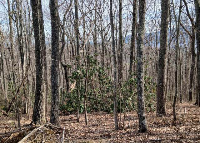 Property at Lt 3R Rocky Ridge Rd, Cosby, TN 37722