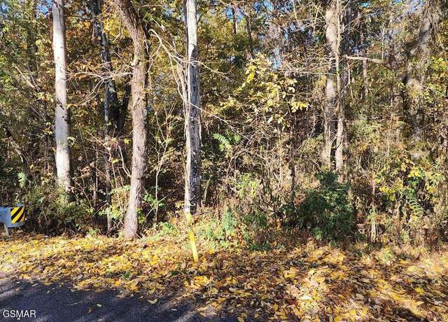 Property at 00 Briggs Rd Rd, Dandridge, TN 37725